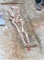 Eines der freigelegten Skelette